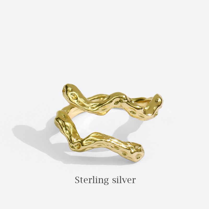 Korean version of the new cold wind irregular niche design metal wave shape girls open index finger ring accessories nugget earrings